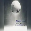 Heartlezz - Destiny - Single